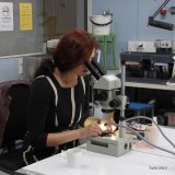 5.9. Tunnistusilta-1